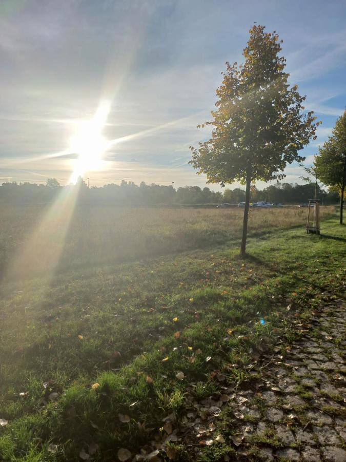Pension Am Rosental Merseburg Exteriör bild